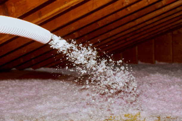 Best Insulation Maintenance and Repair in Whiskey Creek, FL